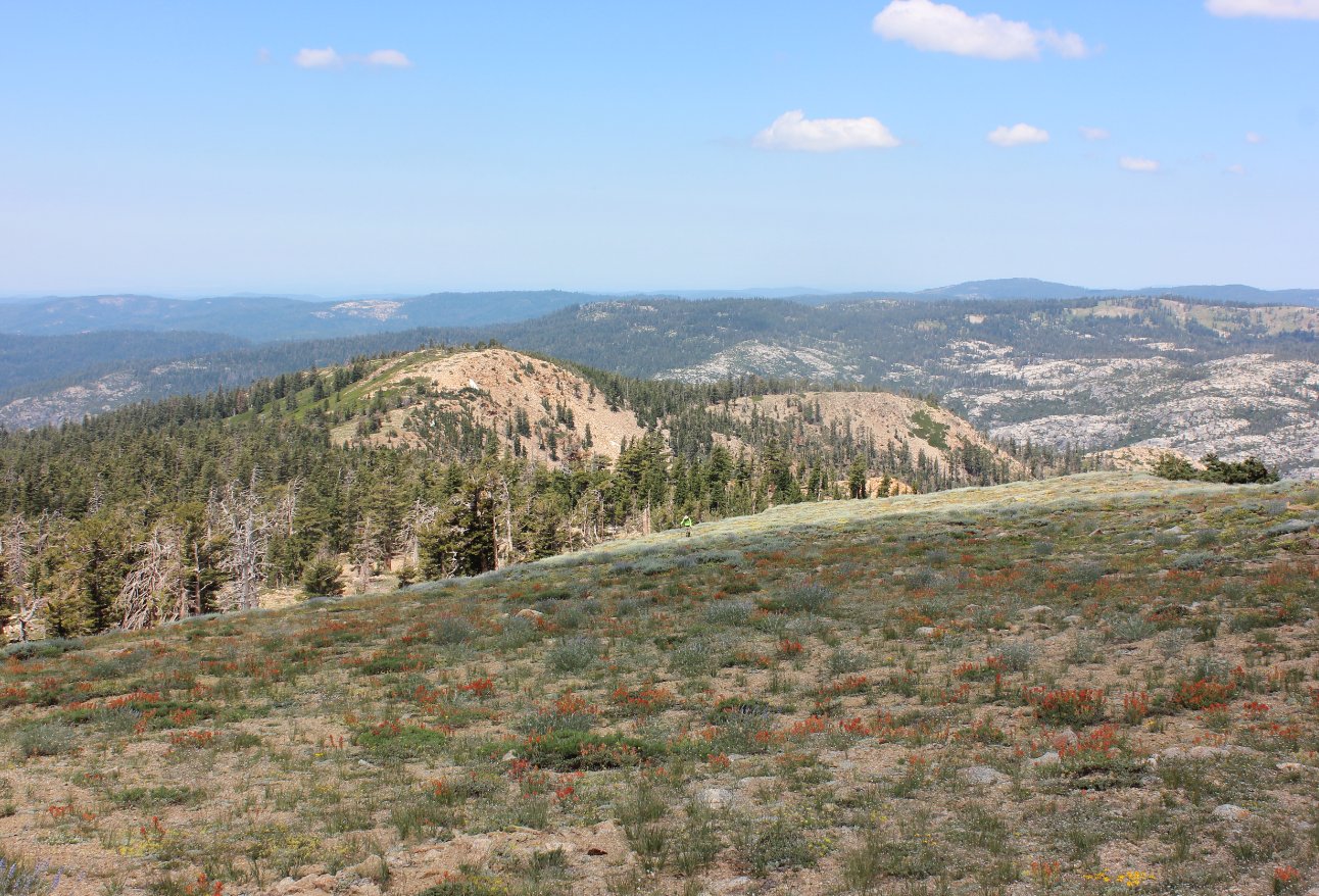 Open ridgeline
