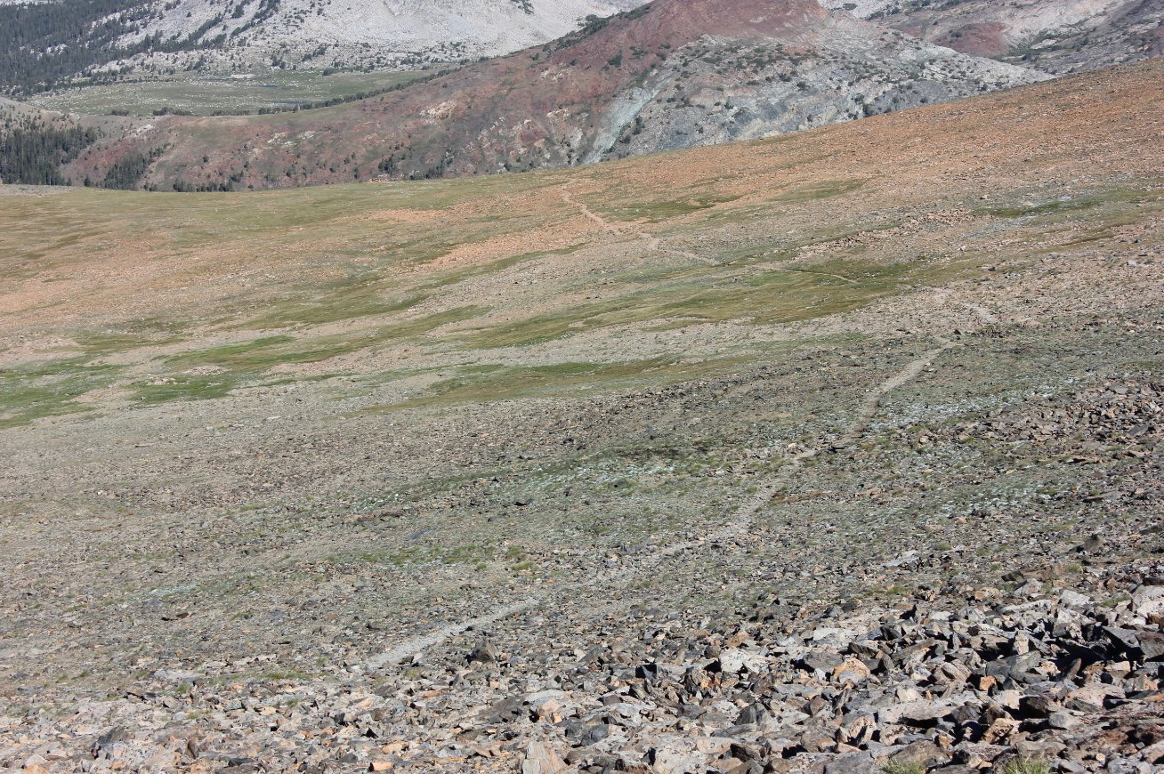 Looking down on the plateau