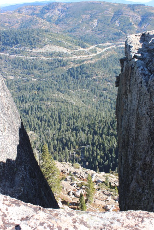 Crevice