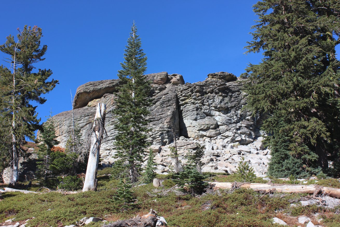 Donner peak