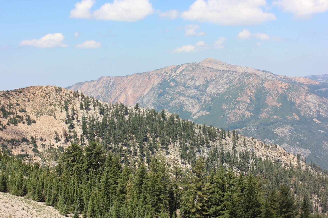 More Mokelumne