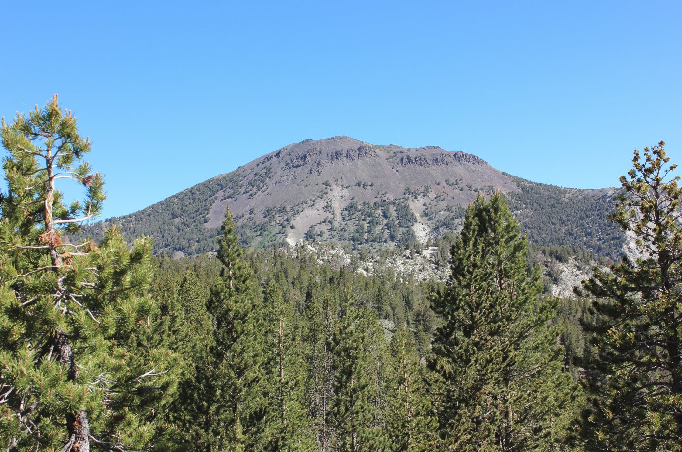 Mt. Rose looming