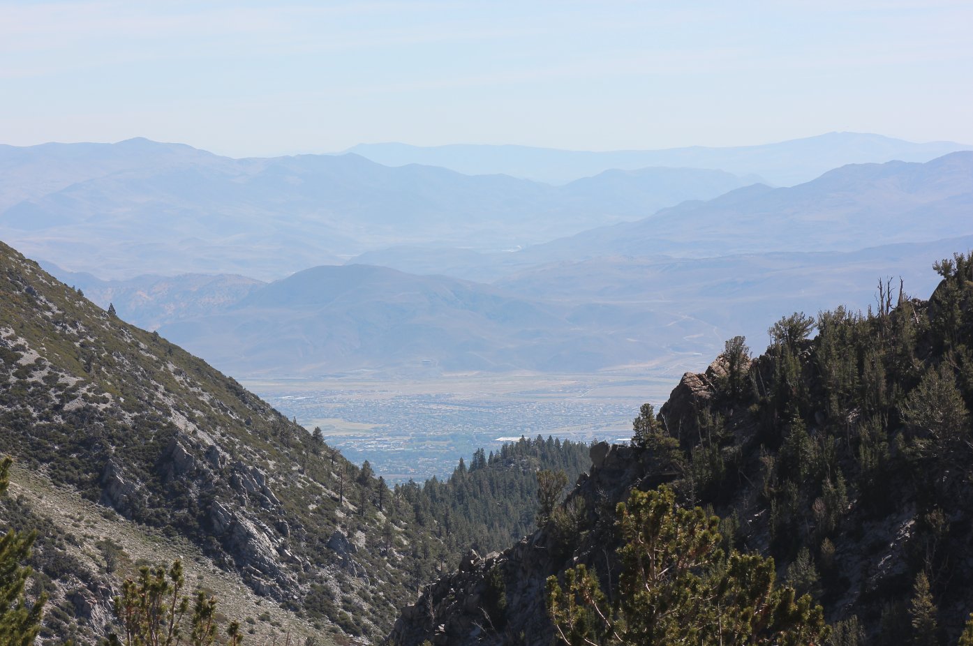 Carson Valley View
