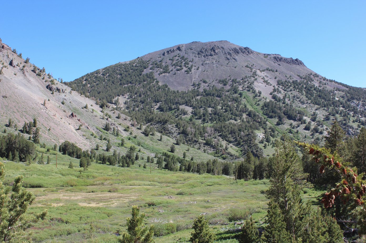 Meadow below the peak