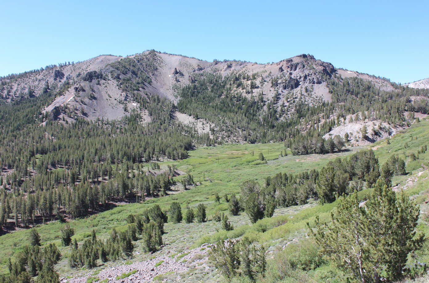 Tamarack Ridge