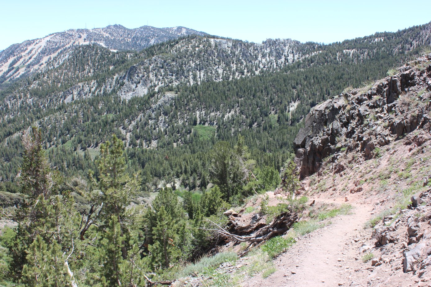 The general feel of the trail