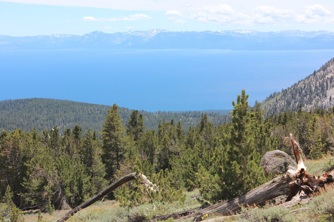 Lake Tahoe from Tamarack