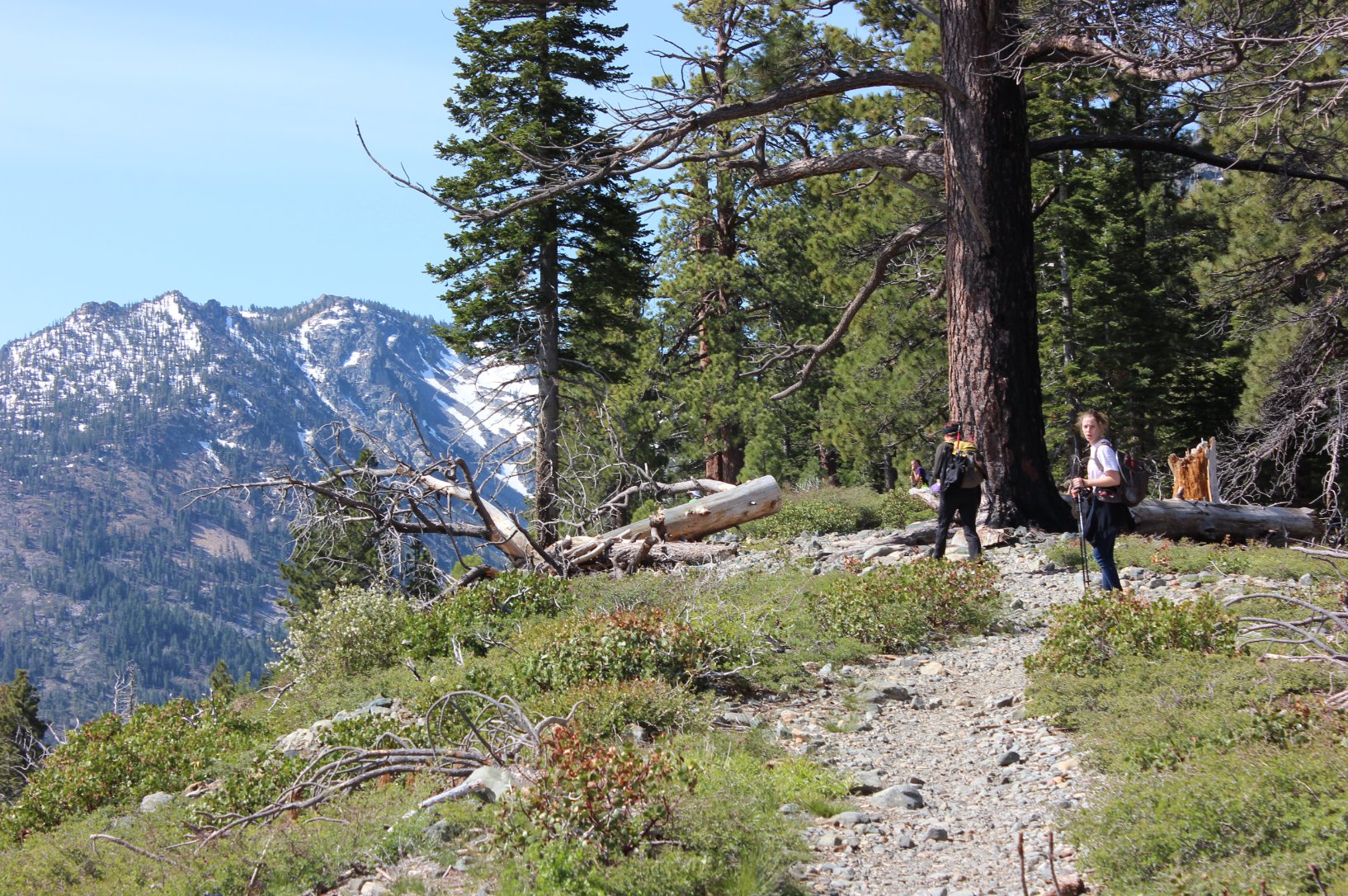 Along the early trail