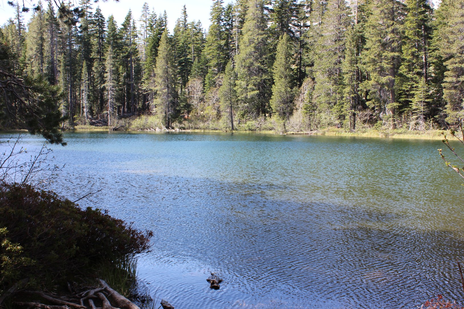 Floating Island Lake