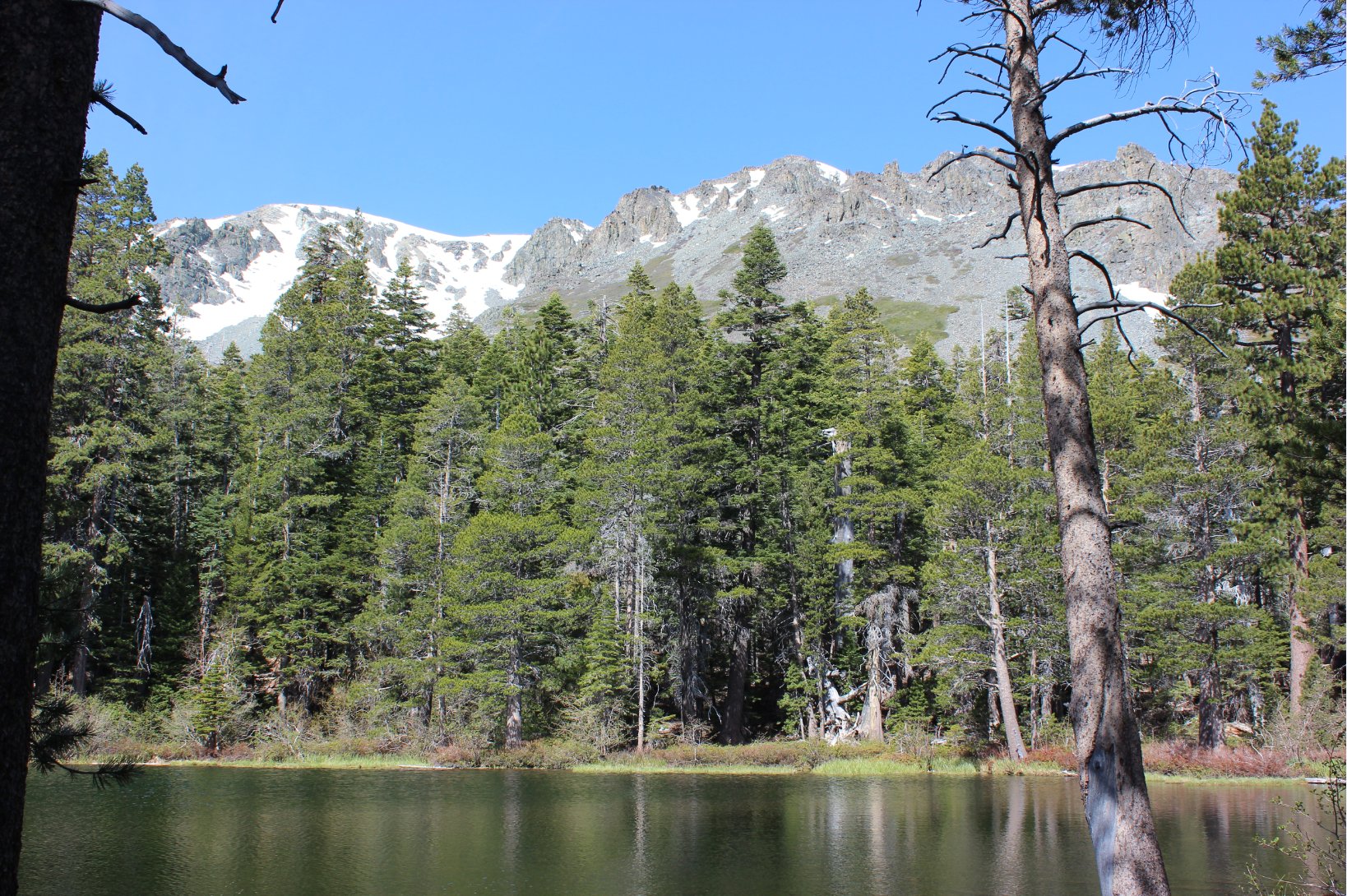 Mt. Tallac above the lake