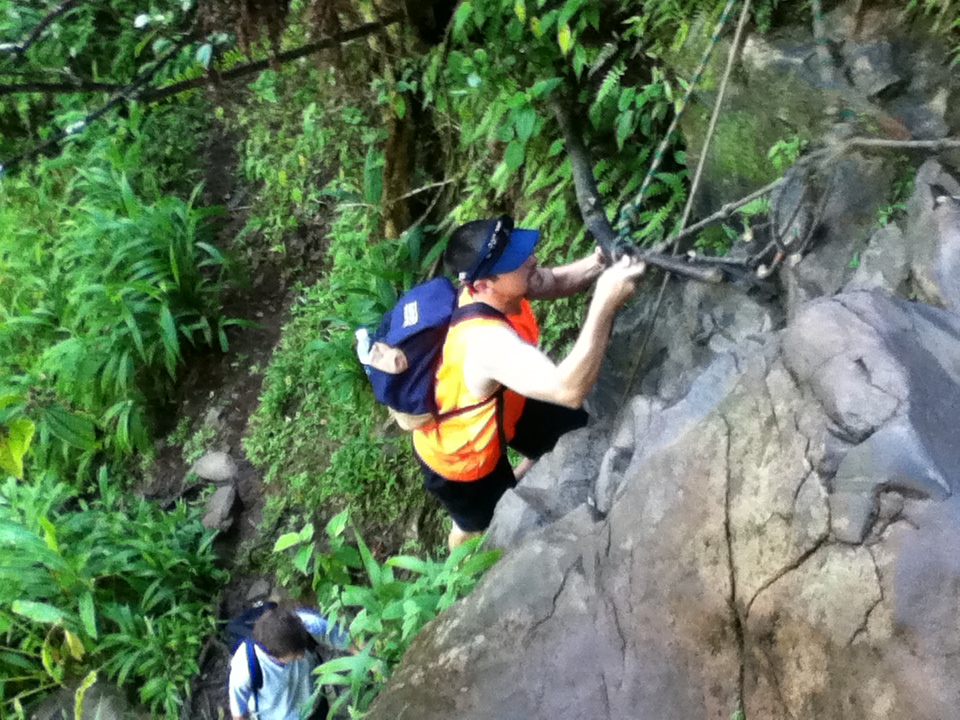 Steve on the ladder