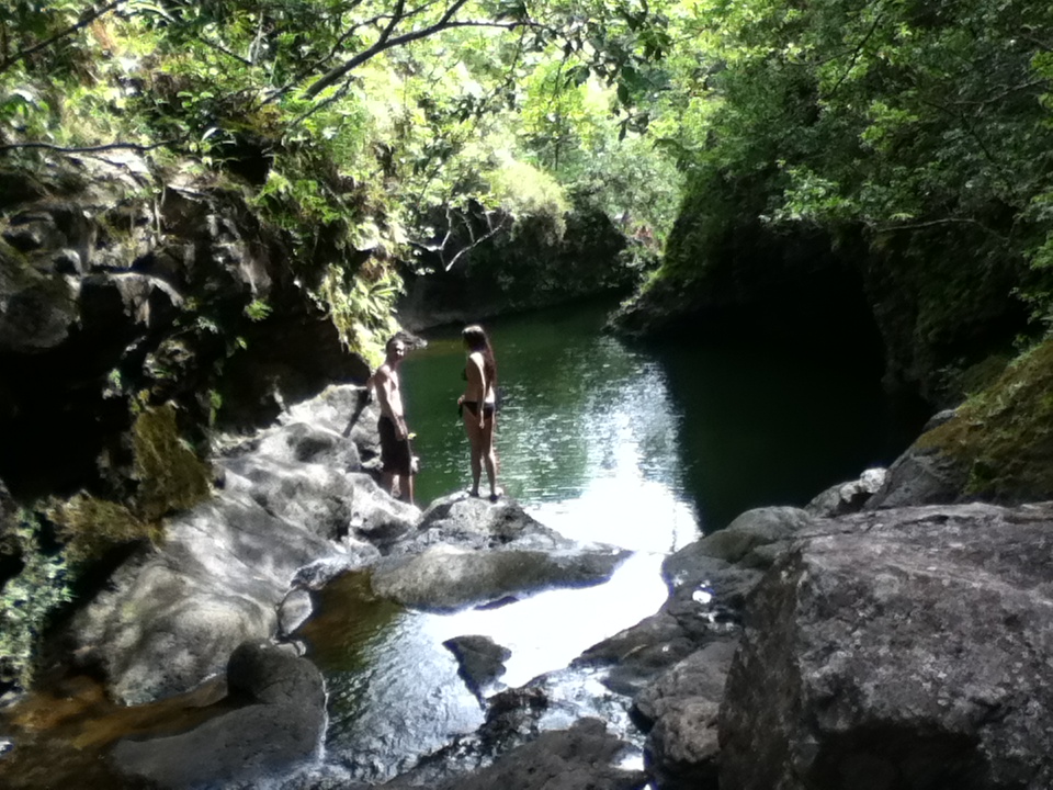 Ready to swim back