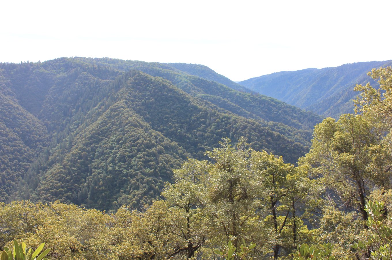 Looking east from the trail