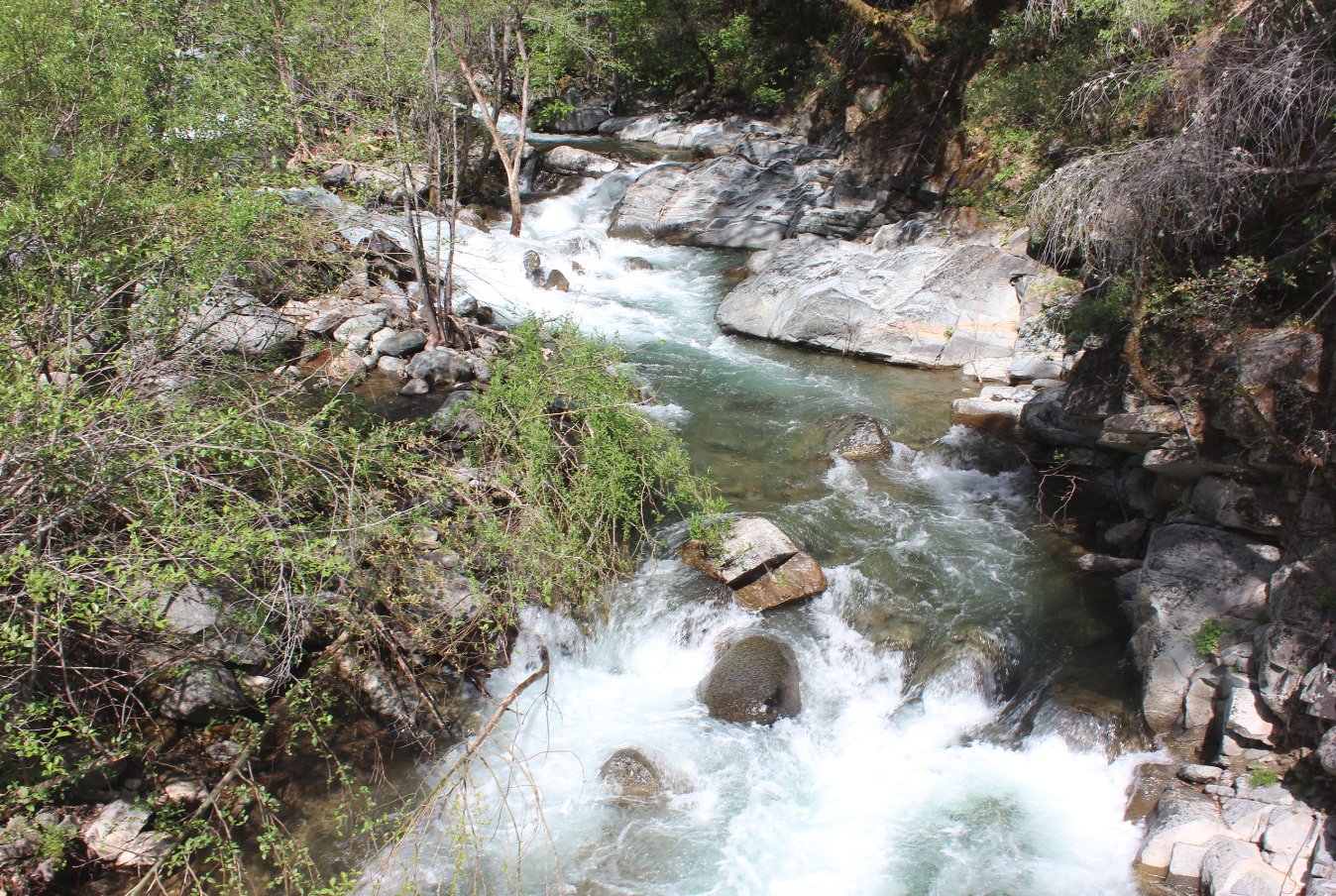 Pilot Creek from the Bridge