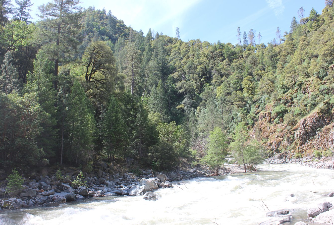 Looking up the river from the bridge