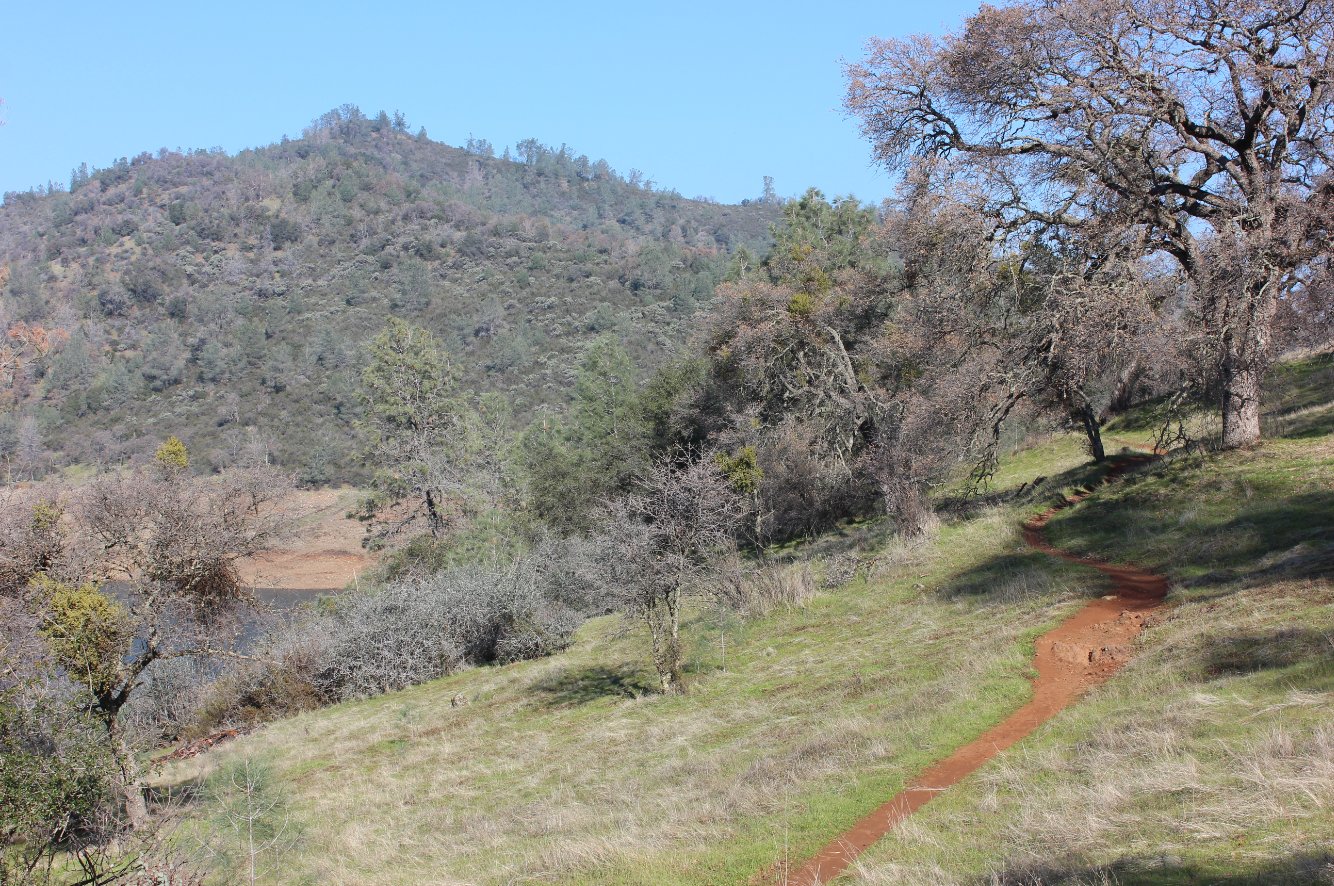Typical trail view