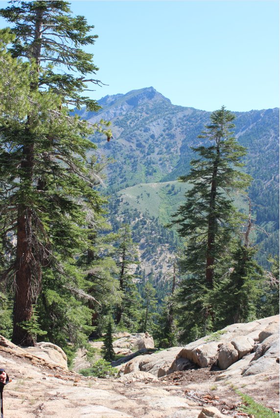 Silver peak