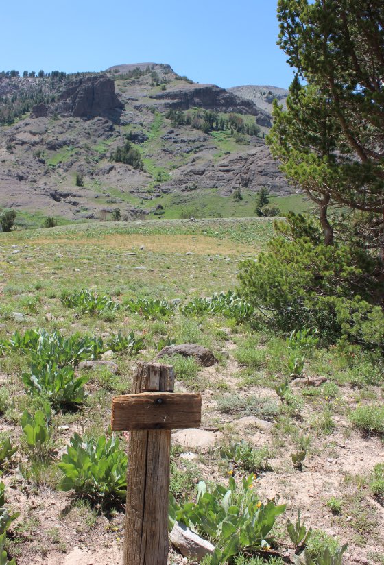 Weathered marker