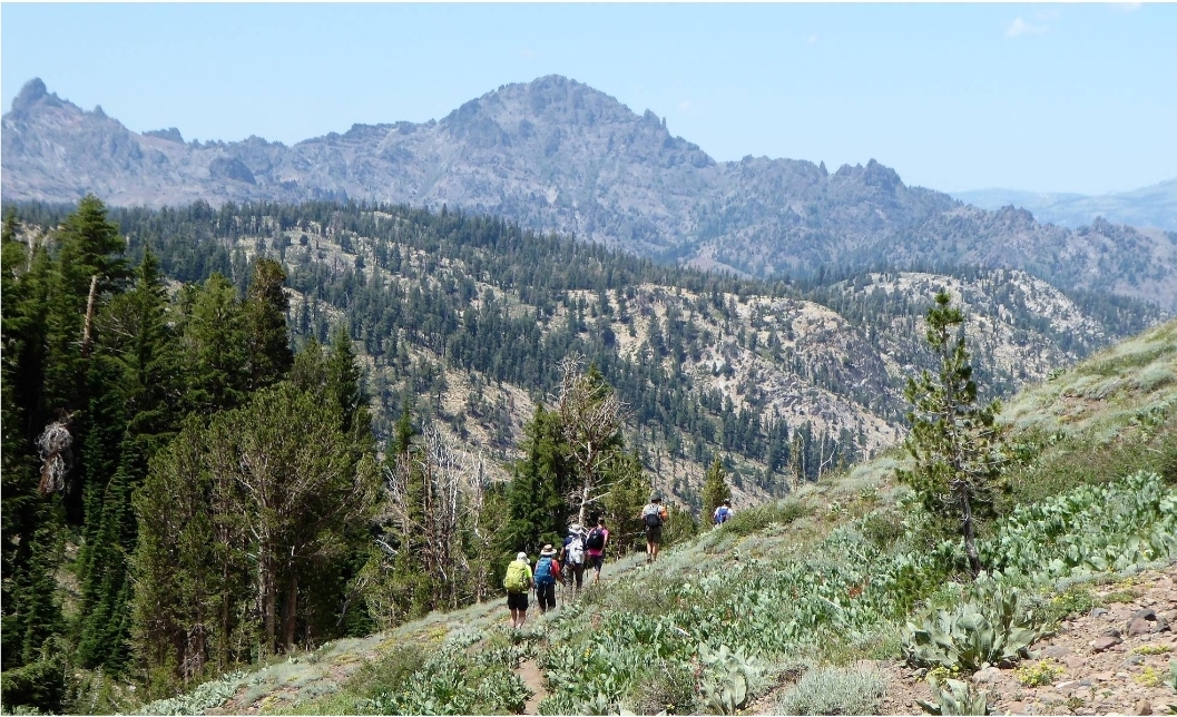 PCT Hiking