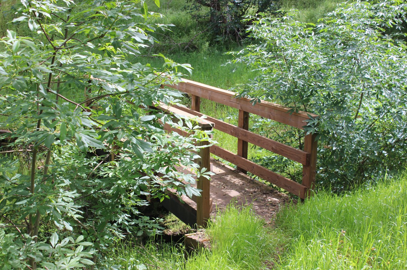 Trail bridge
