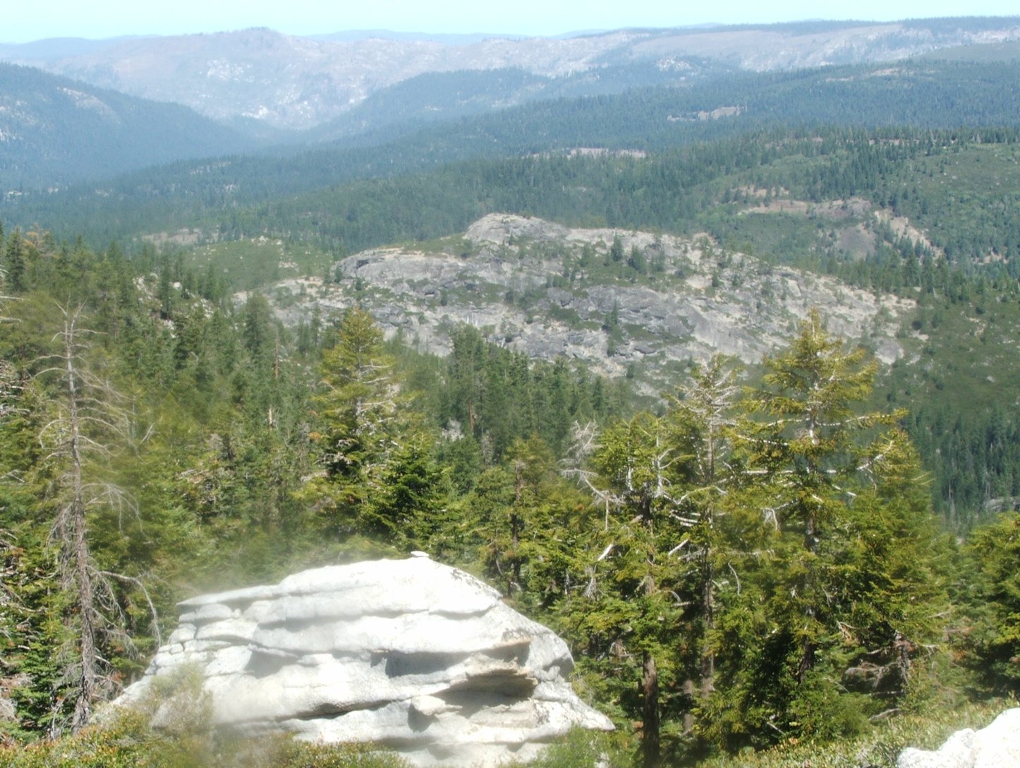 Caples Creek drainage
