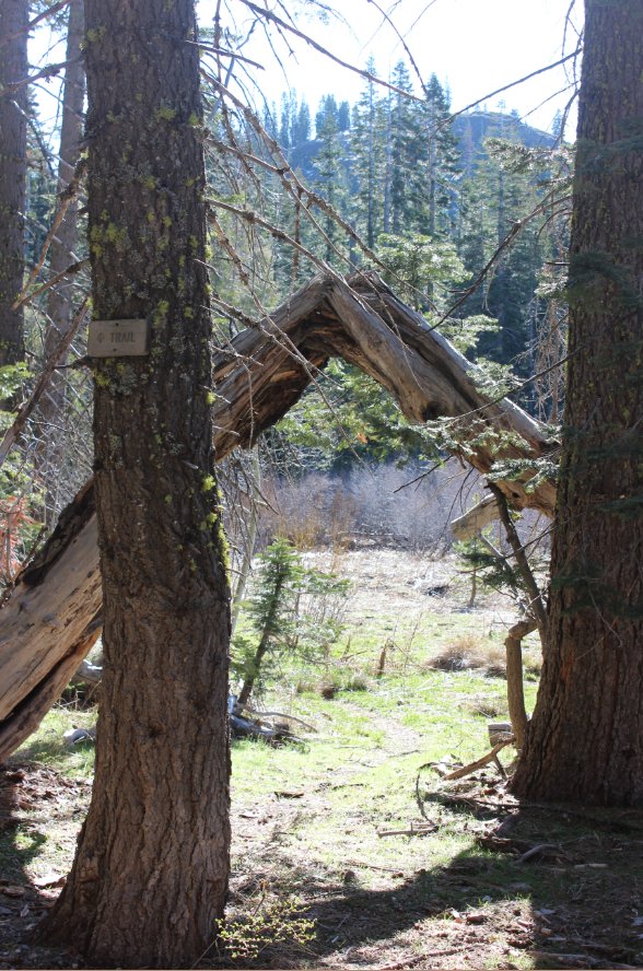 More trail signs