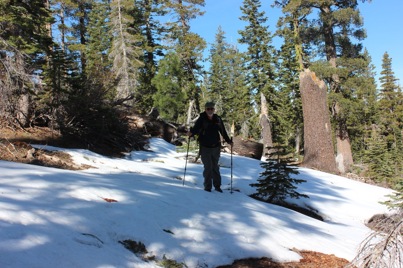 More snow now for the rest of the trip