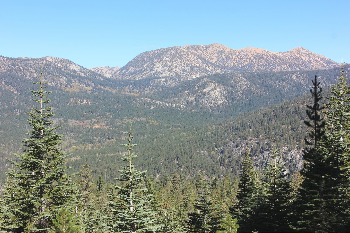 Freel Peak