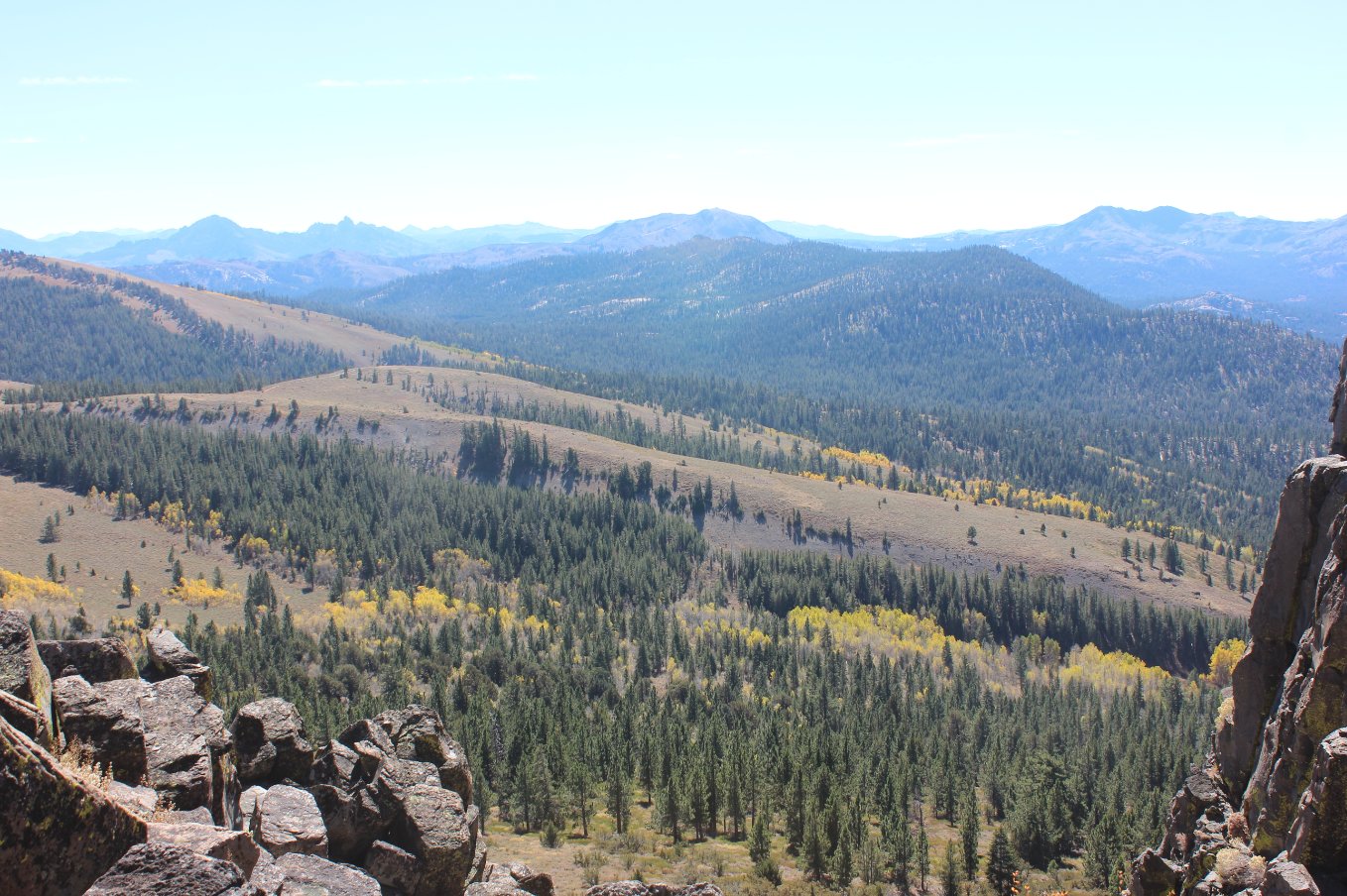 South Views