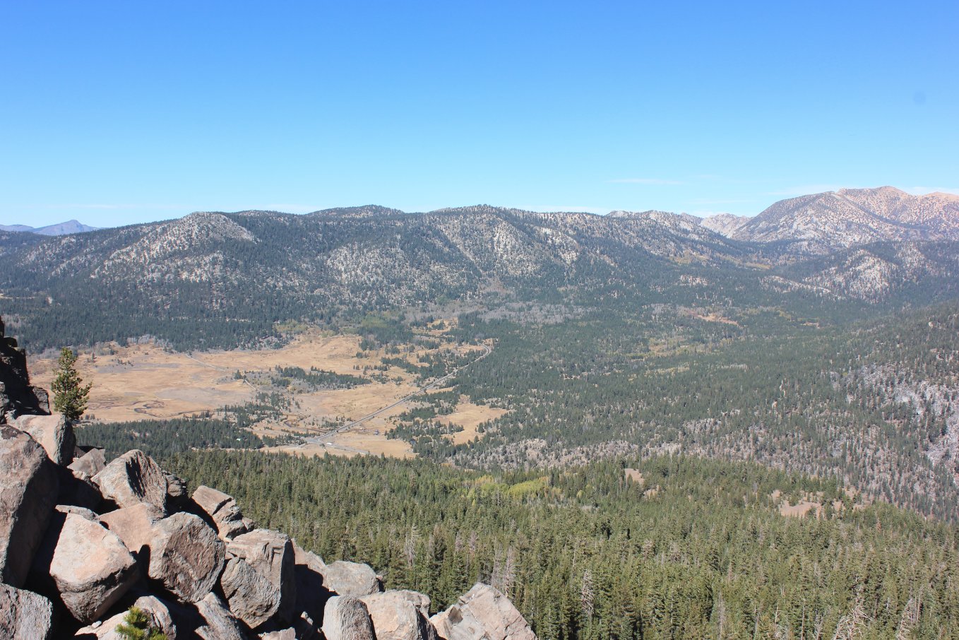 The views