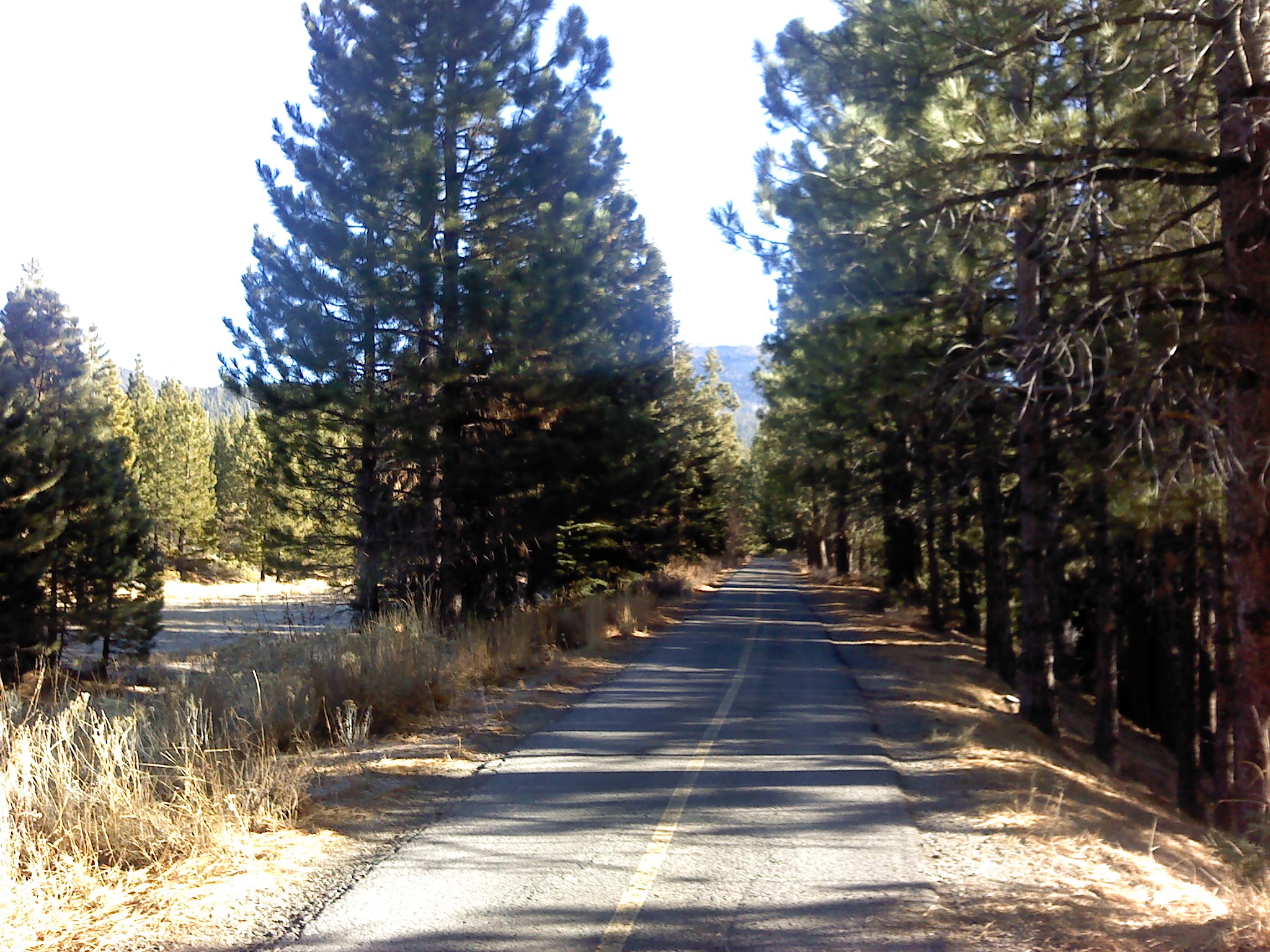 Near the start of the Pinedrop trail