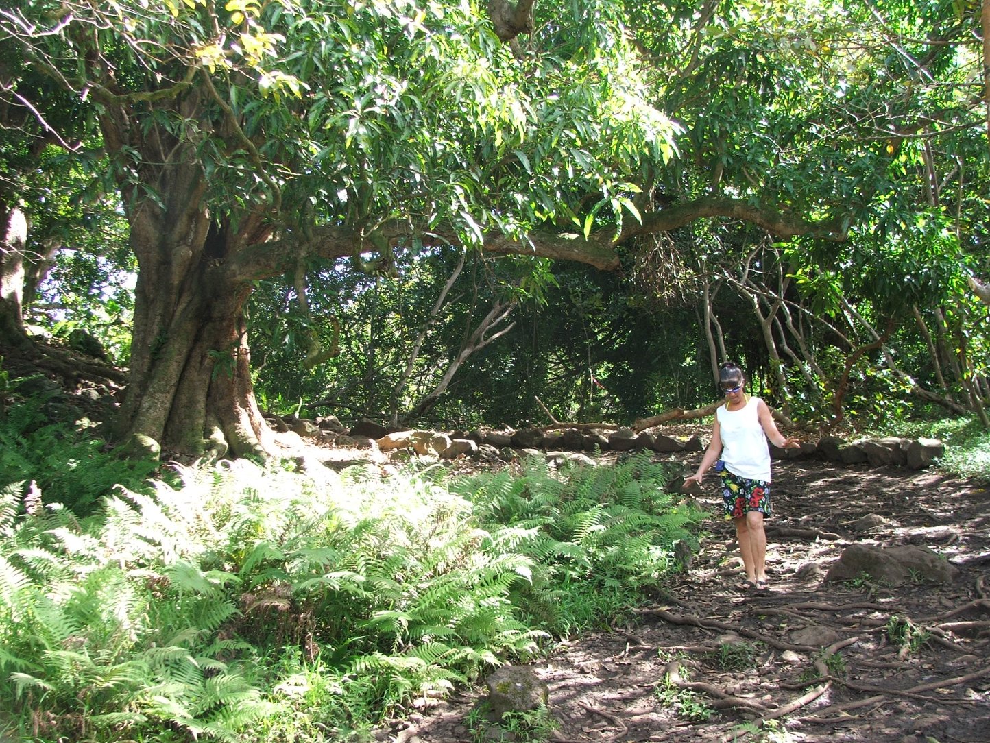 Annie near the start of the trail