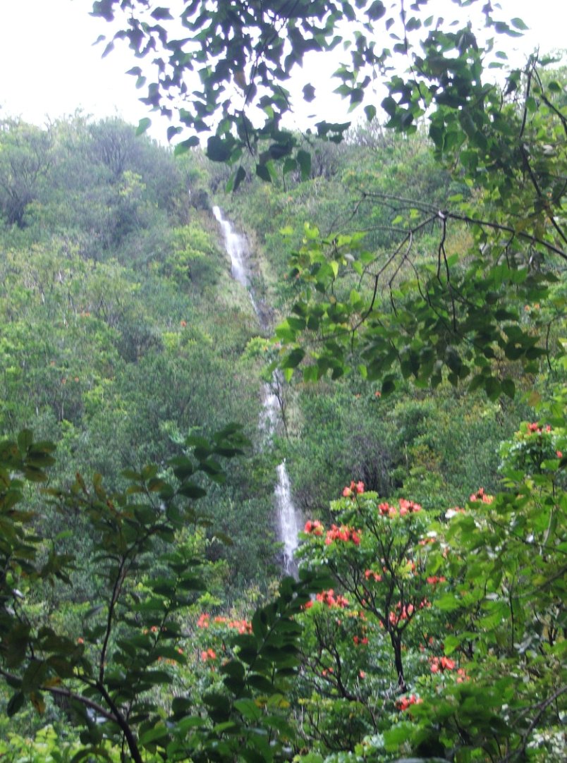 First sign of the Waimoku Falls