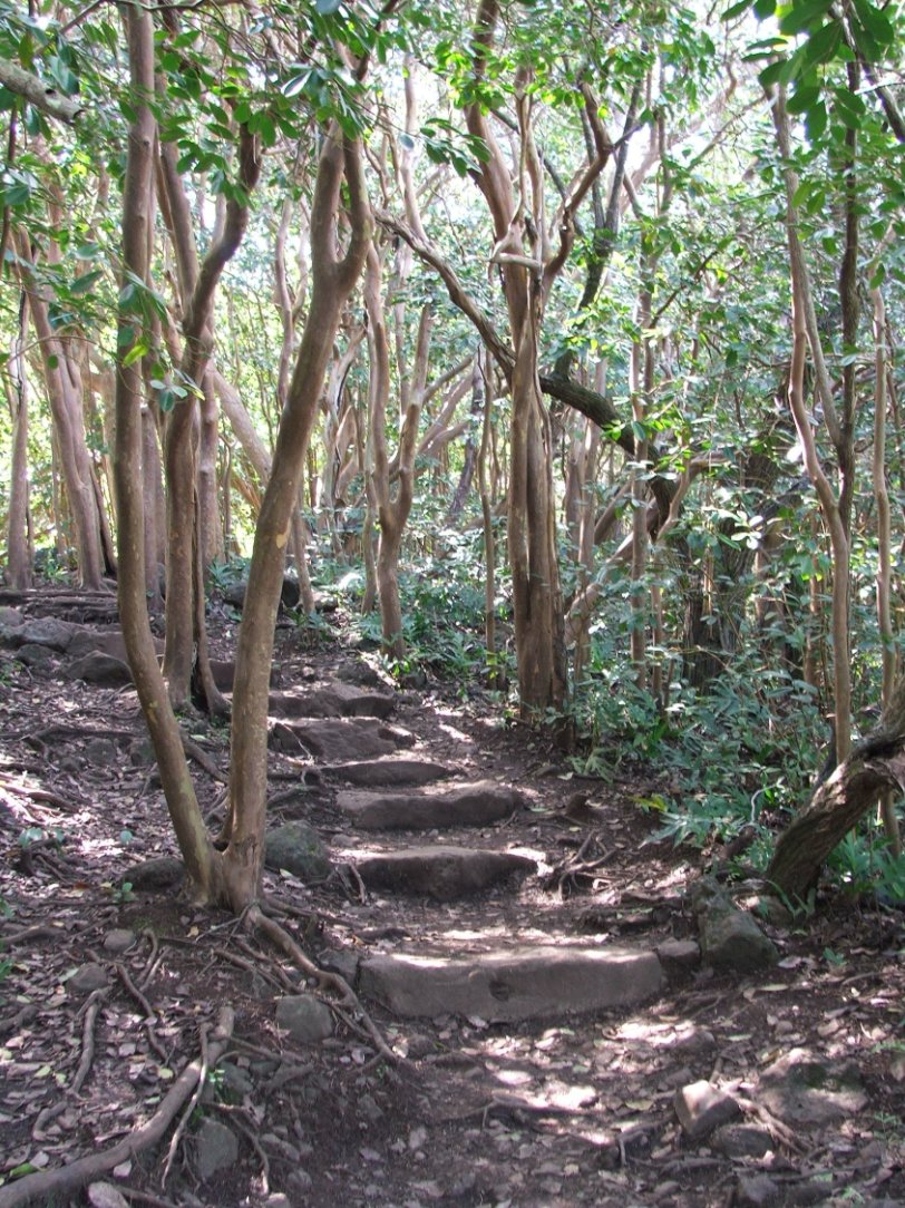 Steps at the start