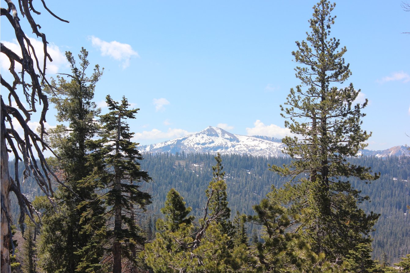 View of Mokelumne