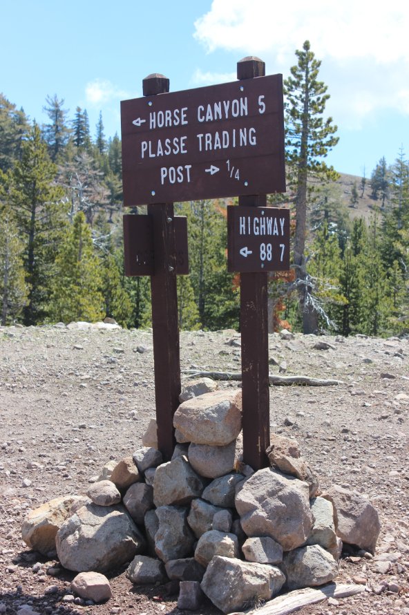 Junction on Squaw Ridge