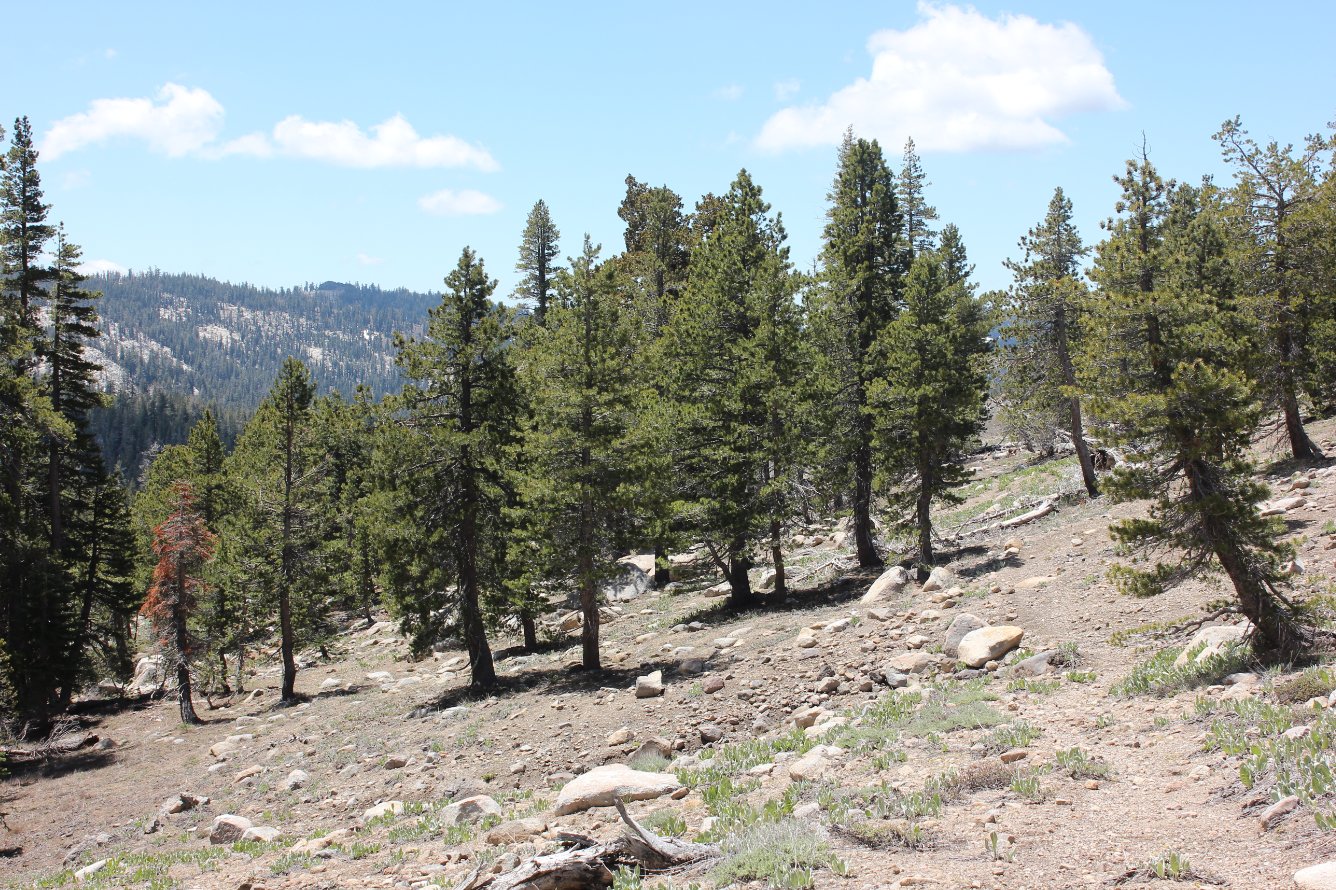 Difficult to discern trail