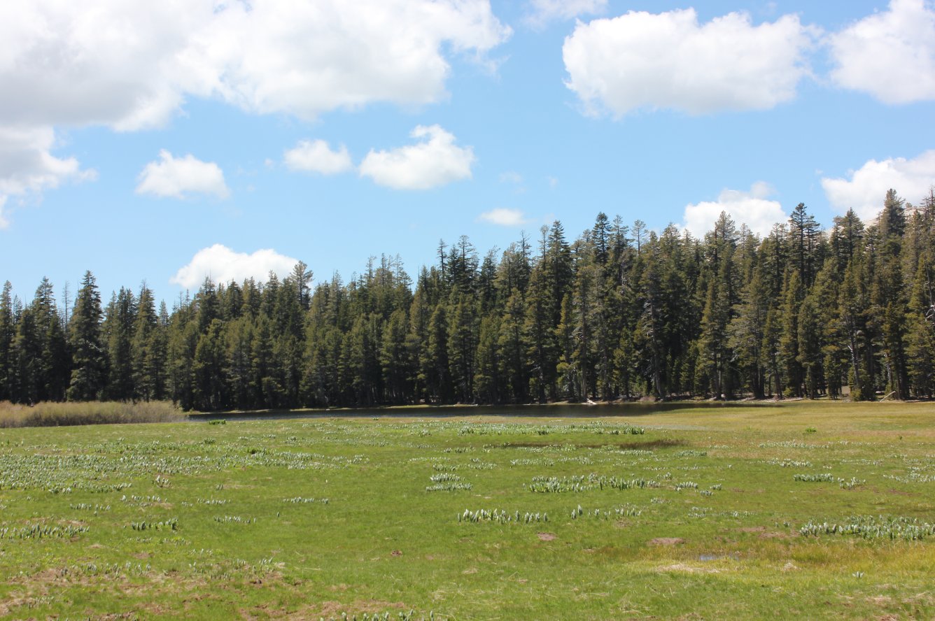 Mud Lake