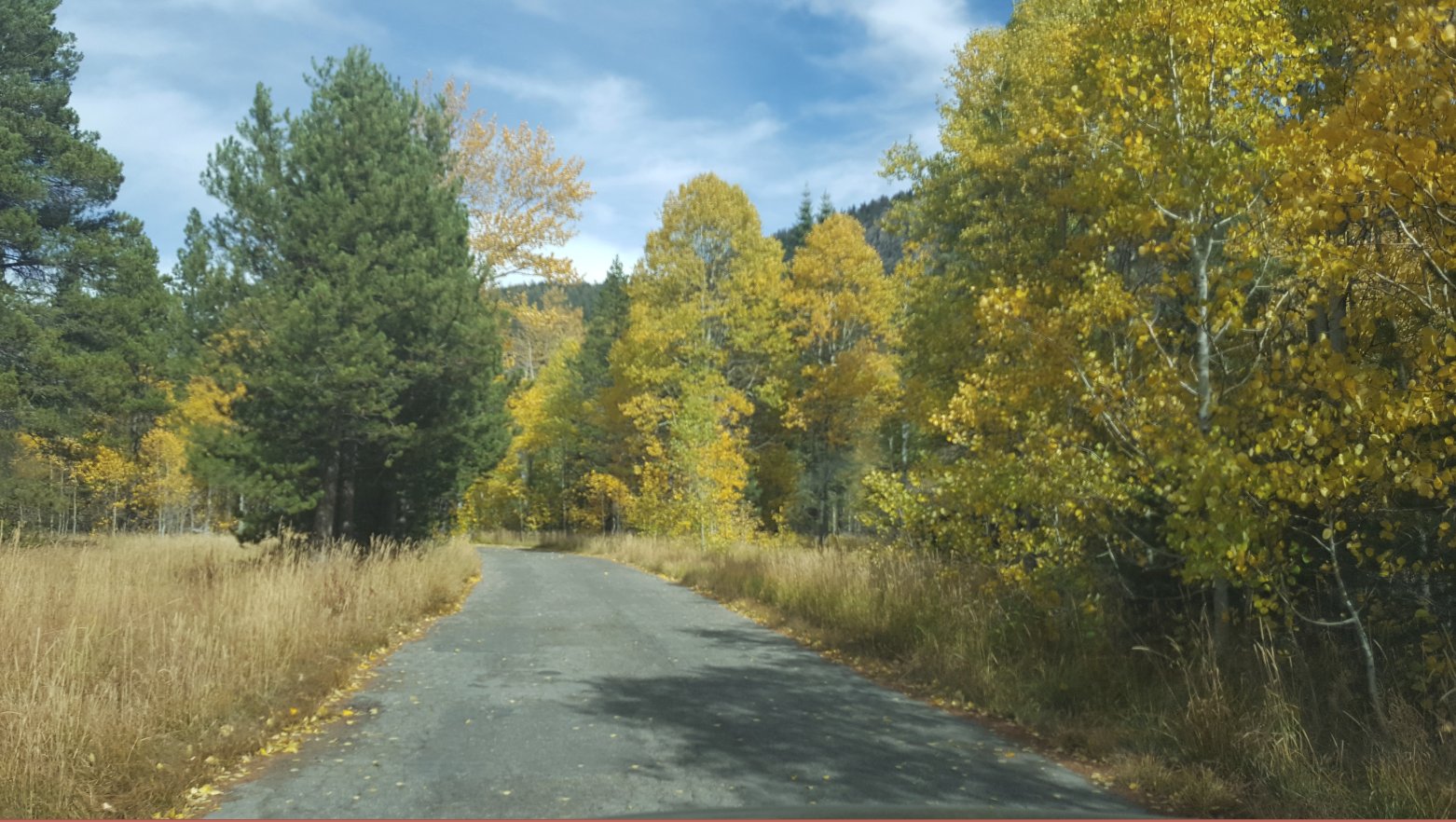 Fall color