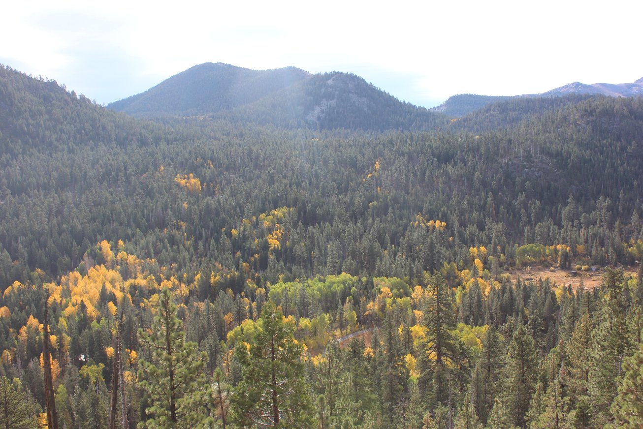 Views toward the east