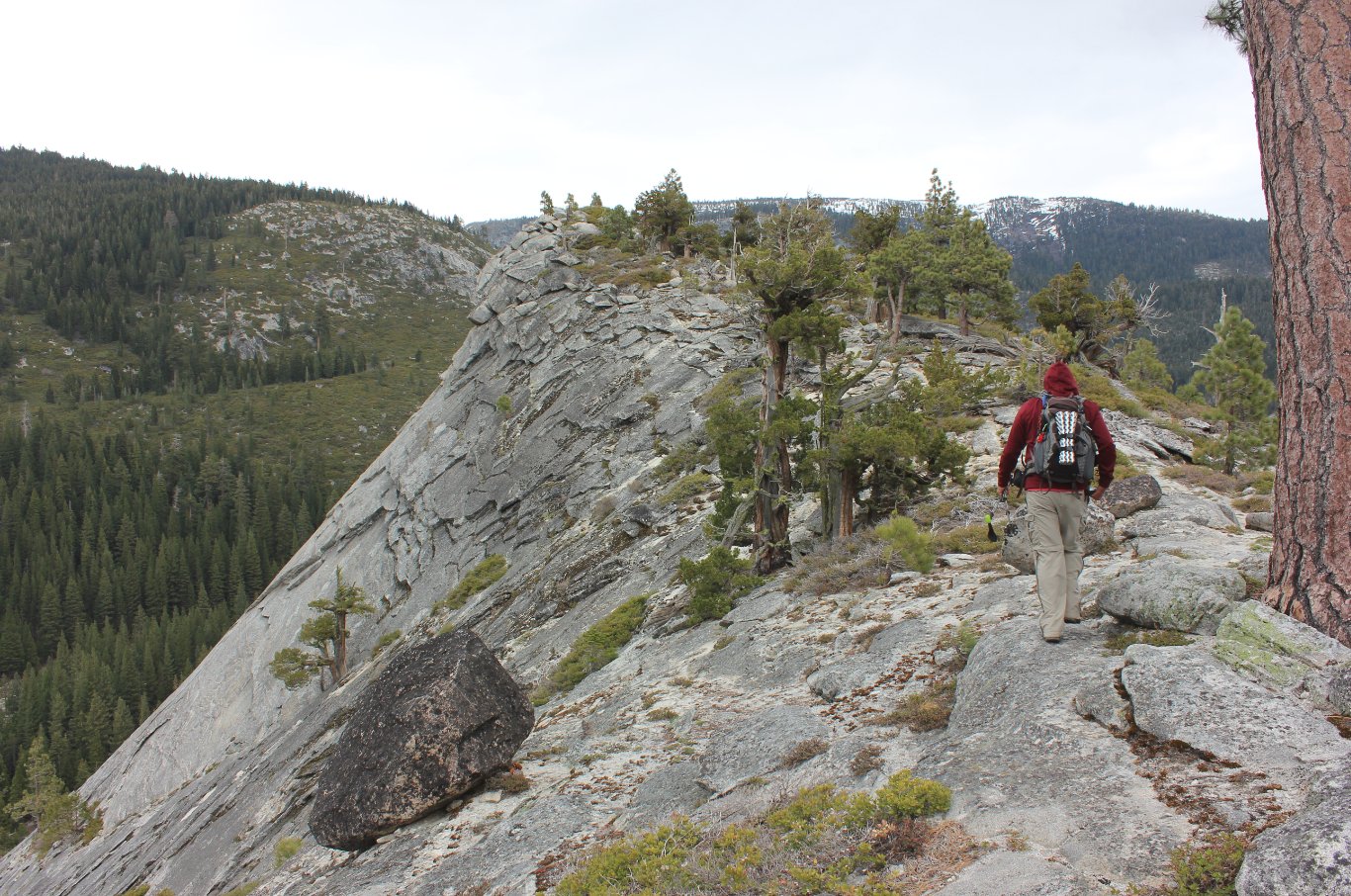 Mark on the top of Hogsback