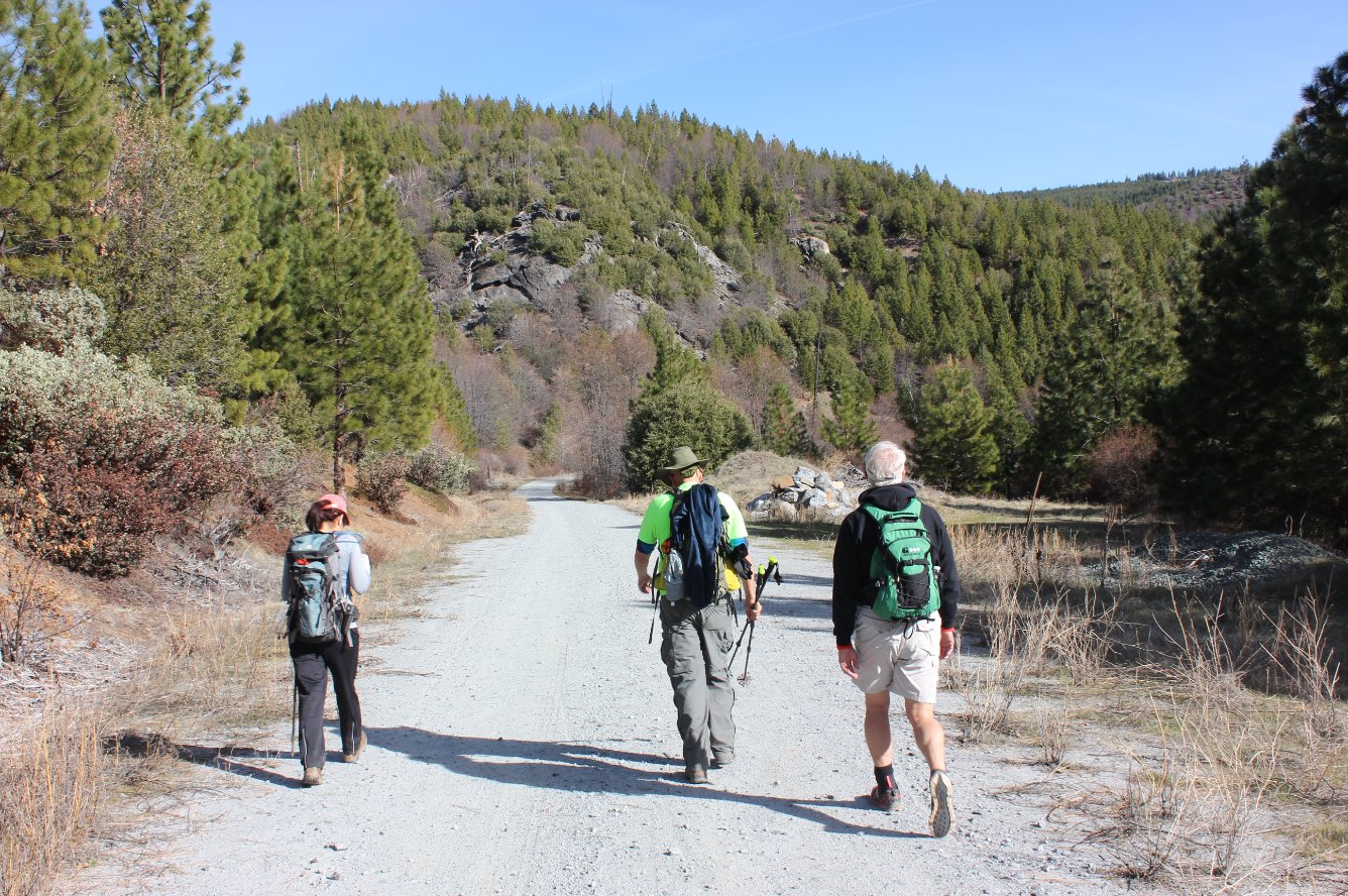 Typical trail