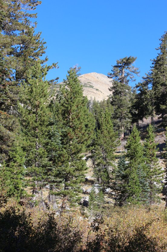 First glimpse of the peak from far below