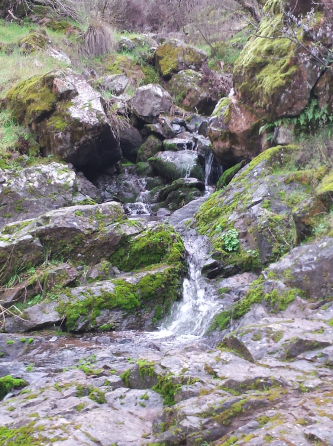 Water on the path
