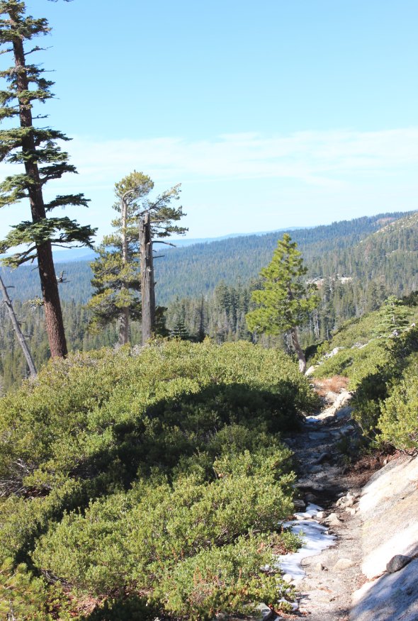 Looking back down the trail