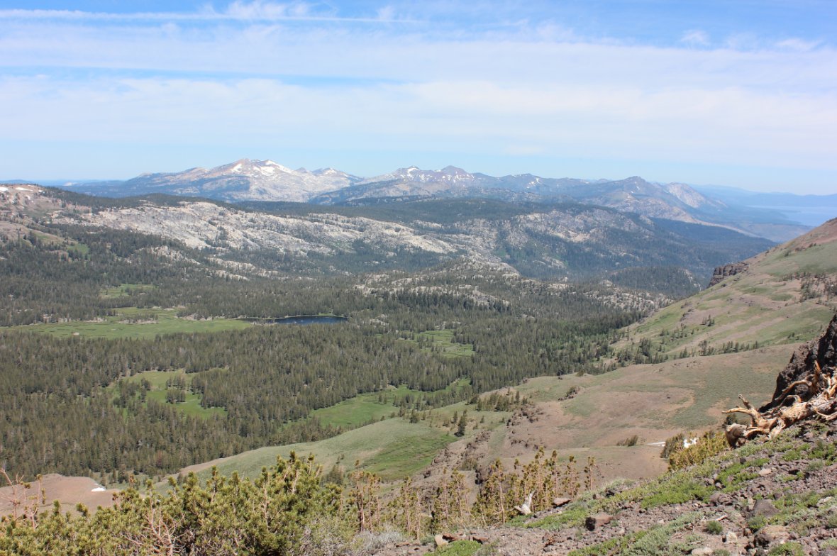Miess Meadow