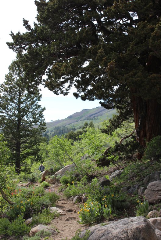 Mark almost back to the trailhead on the PCT