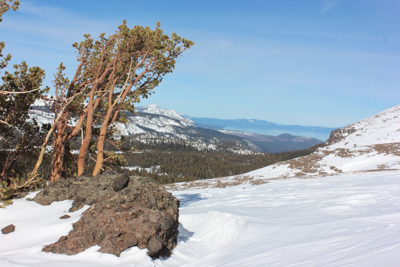 Lake Tahoe appearance