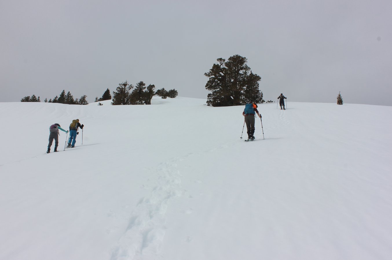 Heading up