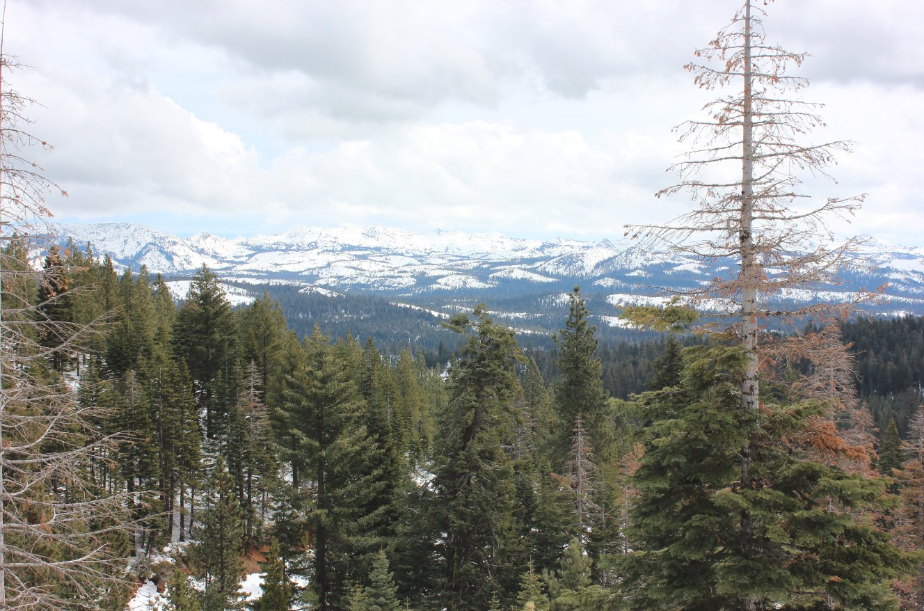 Views along the way up
